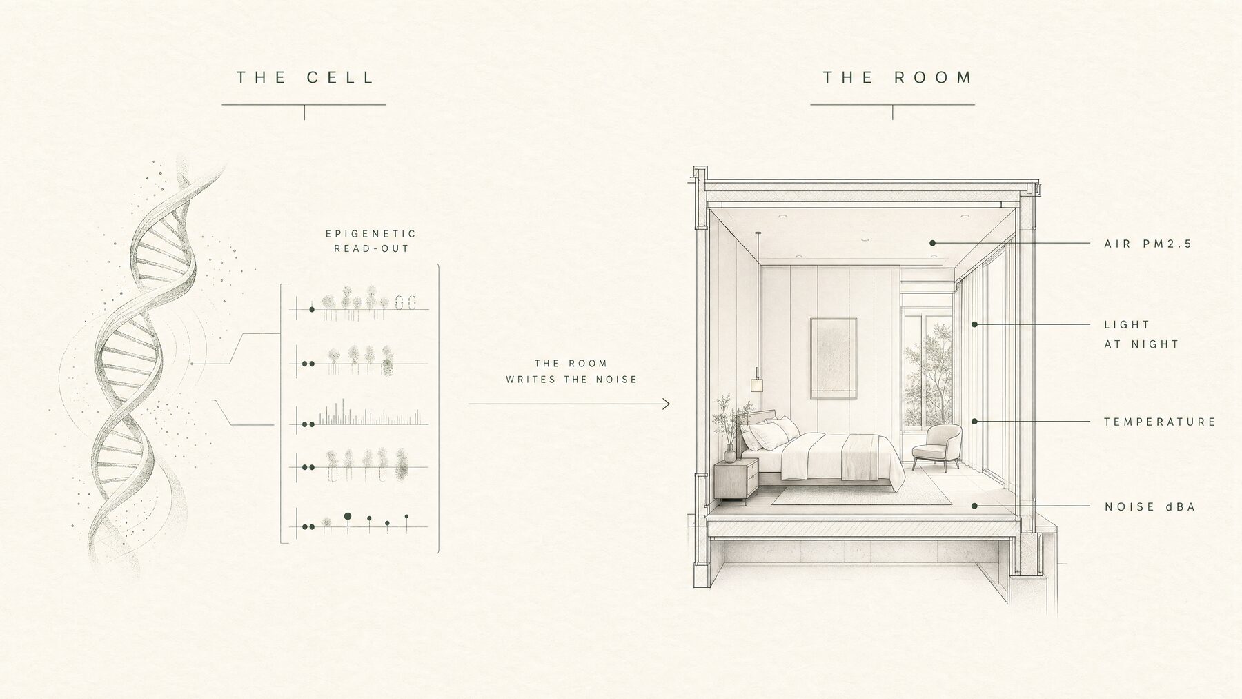 MAVI board contrasting the cell