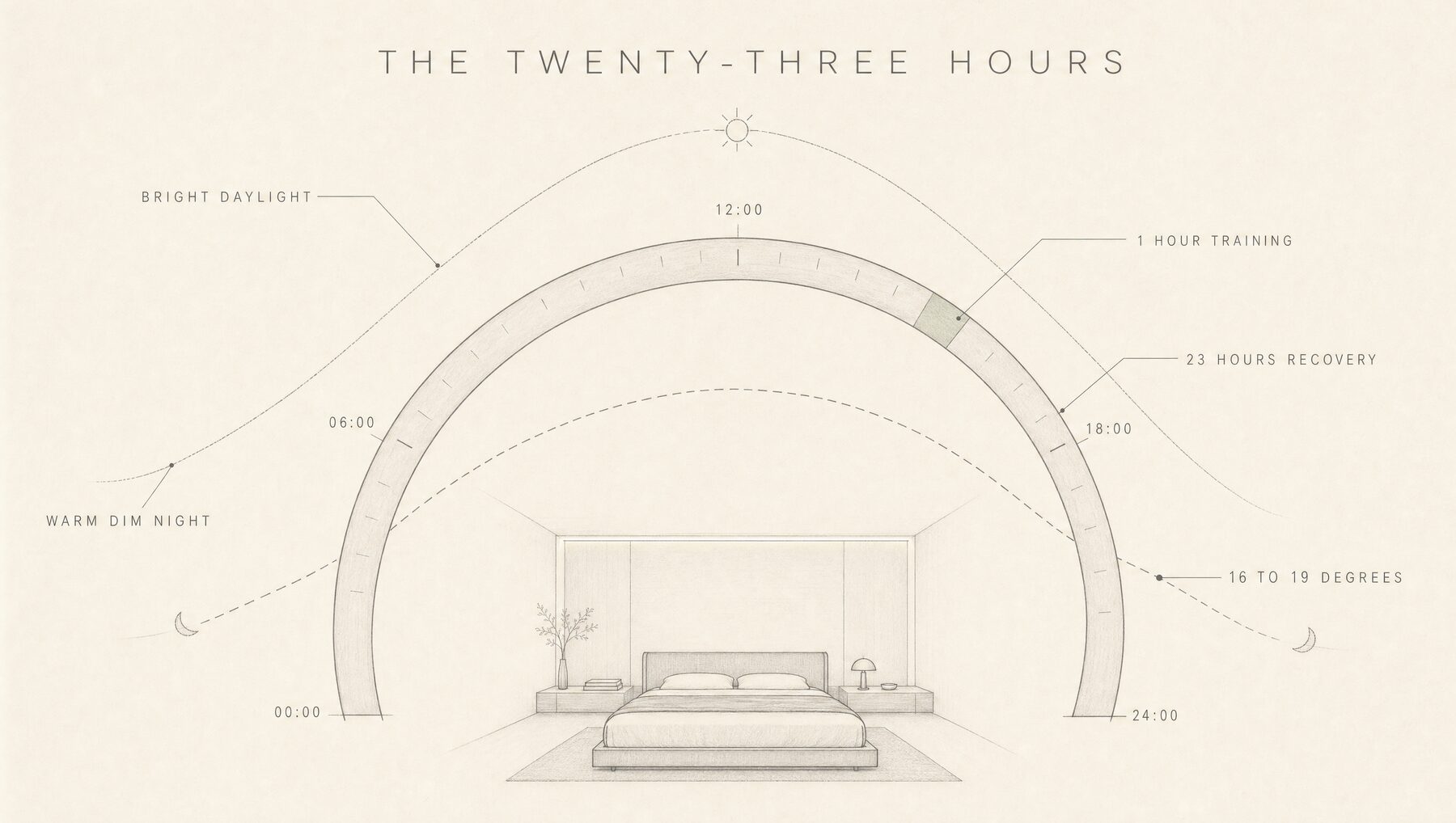 MAVI board: a 24-hour arc marking one hour of training against twenty-three of recovery, with daylight and temperature curves